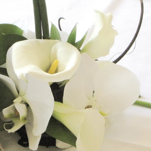 Mariage Voyage Exotique 4.jpg